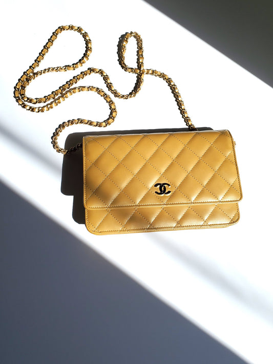 Chanel Wallet on the Chain Bag