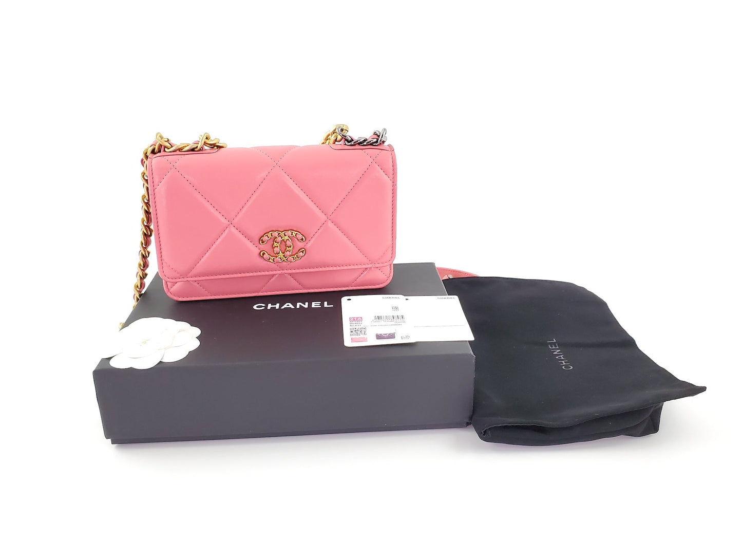 Chanel New 19 Pink Wallet on the Chain WOC Bag