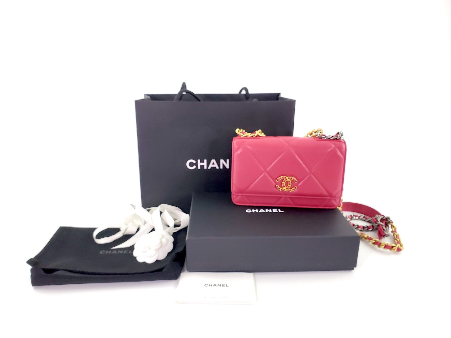 Chanel 19 Pink Wallet on the Chain Crossbody Bag