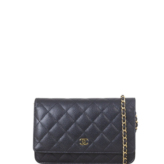 Chanel Classic Wallet on Handbag Quilted Black Crossbody Bag Chain 25032025
