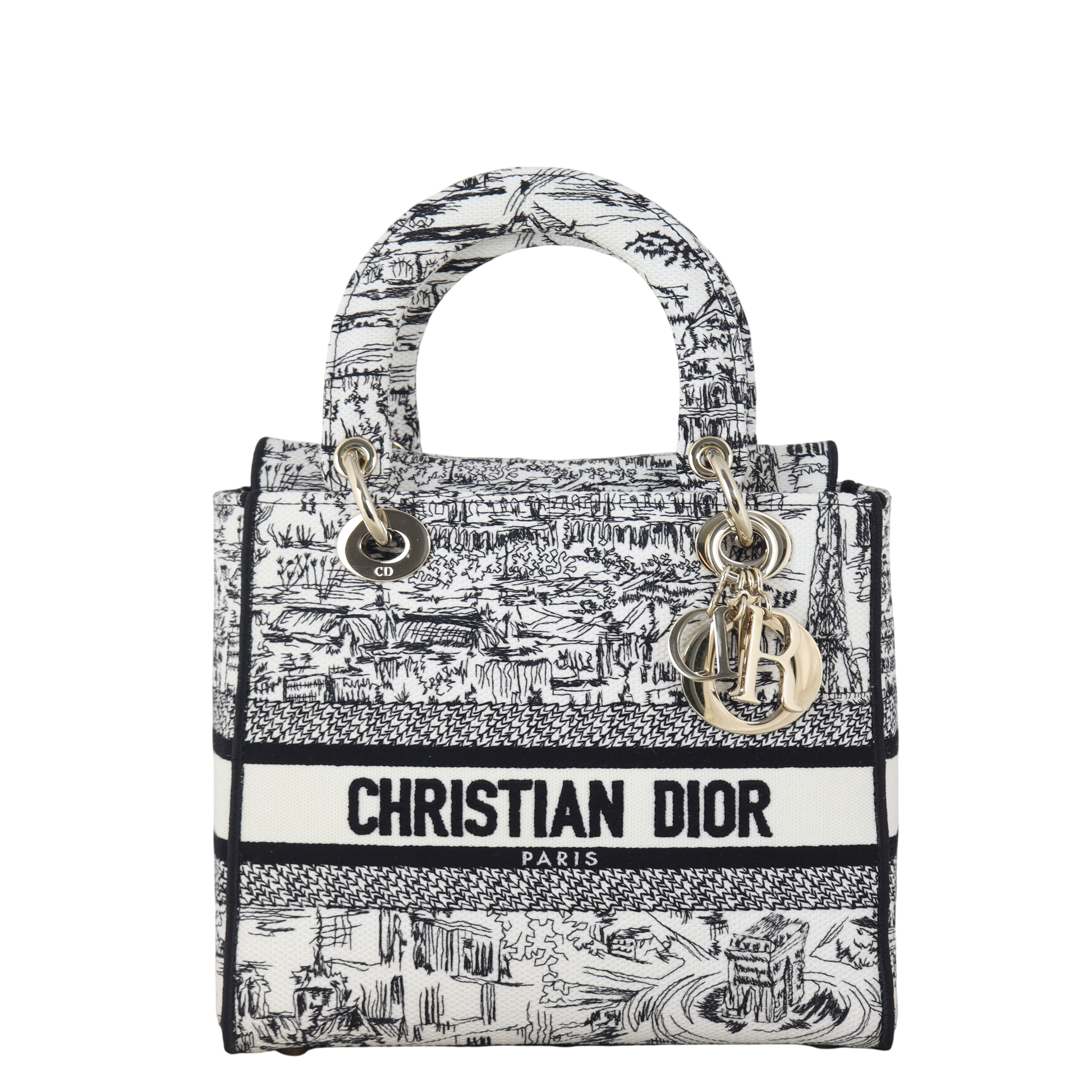 Dior Lady D Lite Handbag Medium Travel Bag