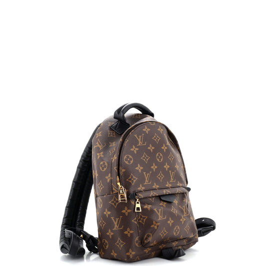 Louis Vuitton Palm Springs Backpack Pm Canvas Monogram Jewelry Canvas Pm2811943