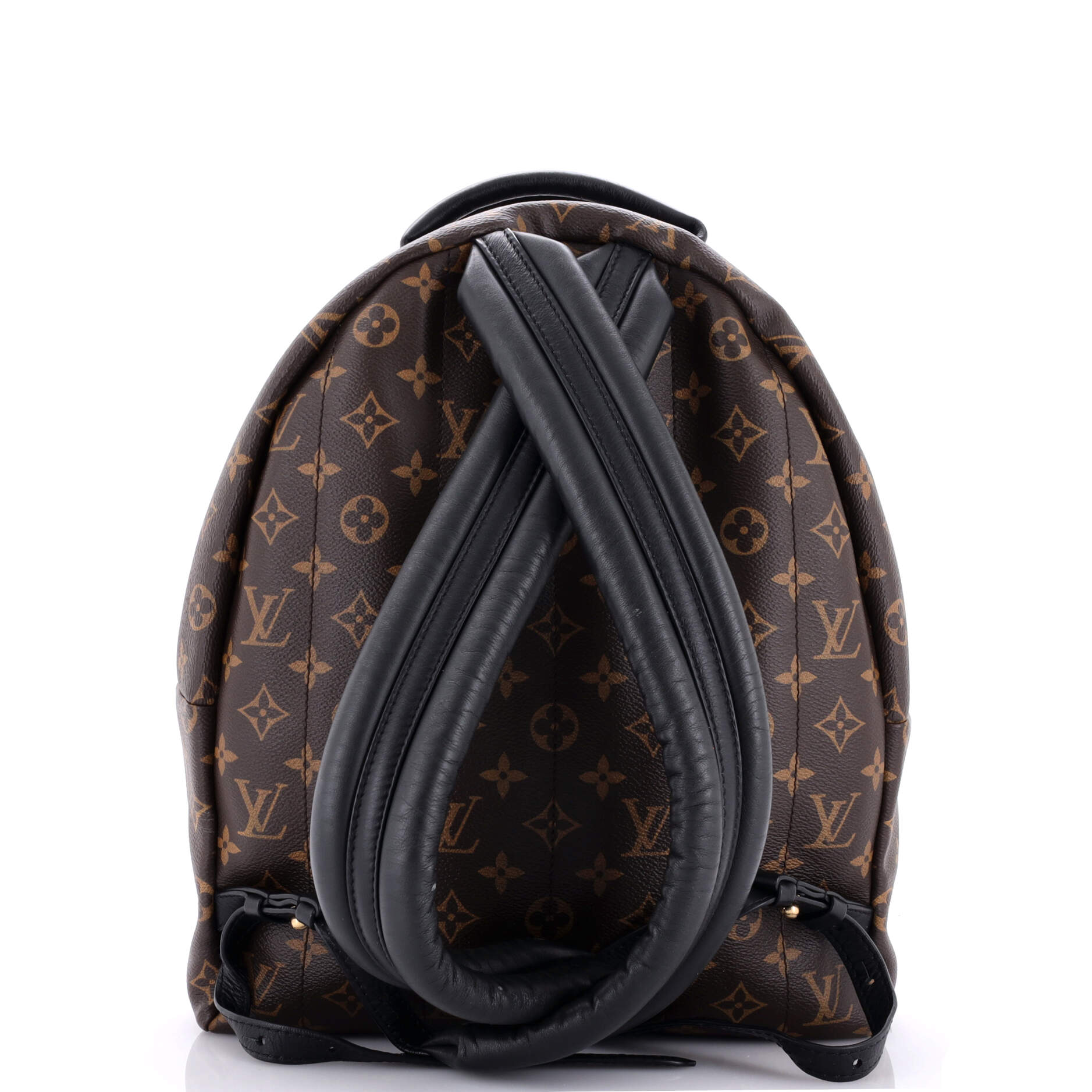 Louis Vuitton Palm Springs Backpack Mm Canvas Monogram Jewelry Canvas Mm3021171