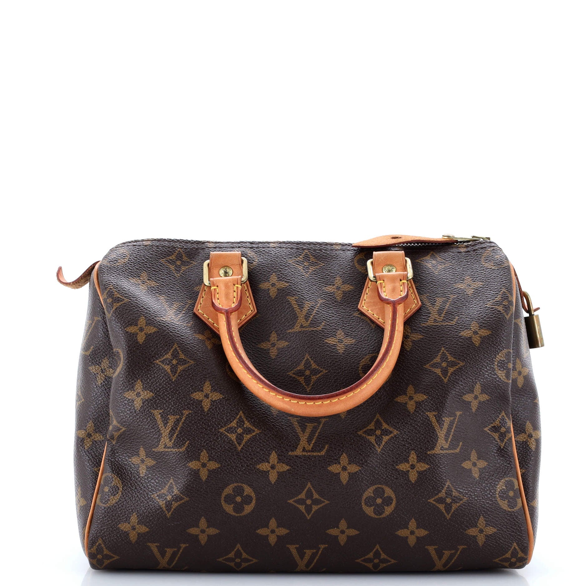 Louis Vuitton Speedy Handbag Canvas Monogram Travel Bag Canvas 253031333