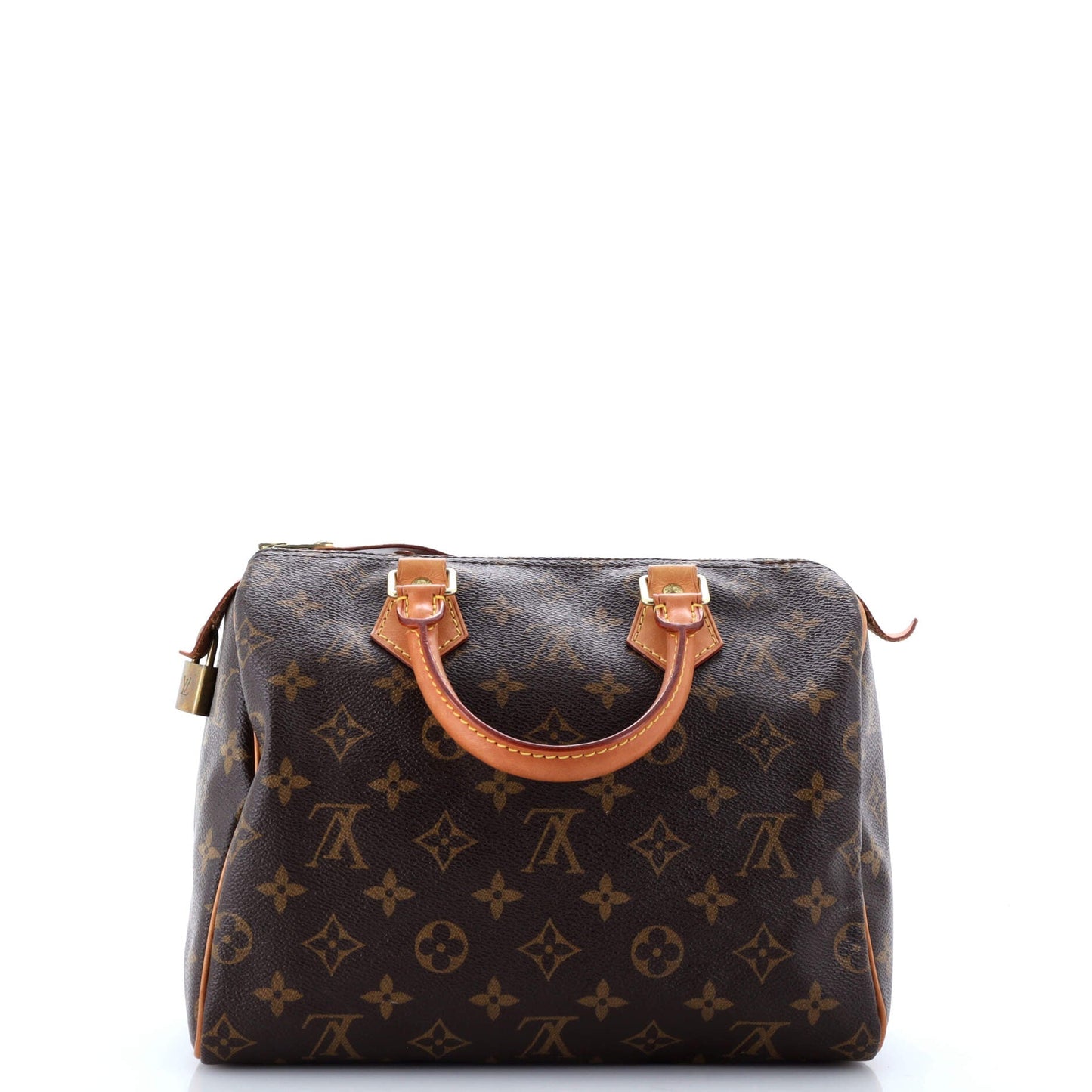 Louis Vuitton Speedy Handbag Canvas Monogram Travel Bag Canvas 253031333