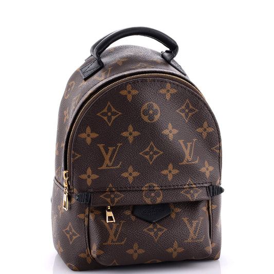 Louis Vuitton Palm Springs Backpack Canvas Monogram Jewelry Canvas Mini3037601
