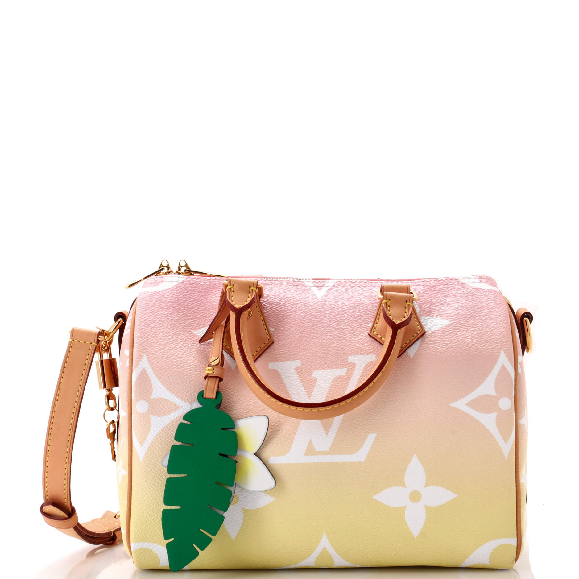 Louis Vuitton Speedy Bandouliere Bag By The Pool Giant Monogram Travel Bag Giant 253039451