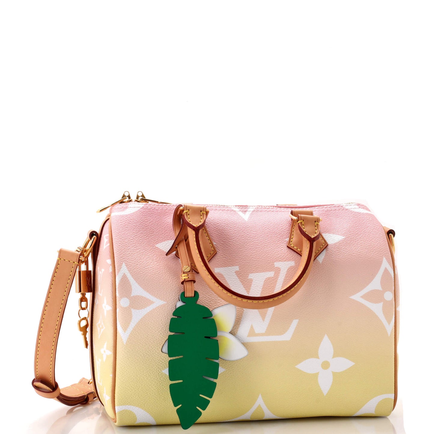 Louis Vuitton Speedy Bandouliere Bag By The Pool Giant Monogram Travel Bag Giant 253039451