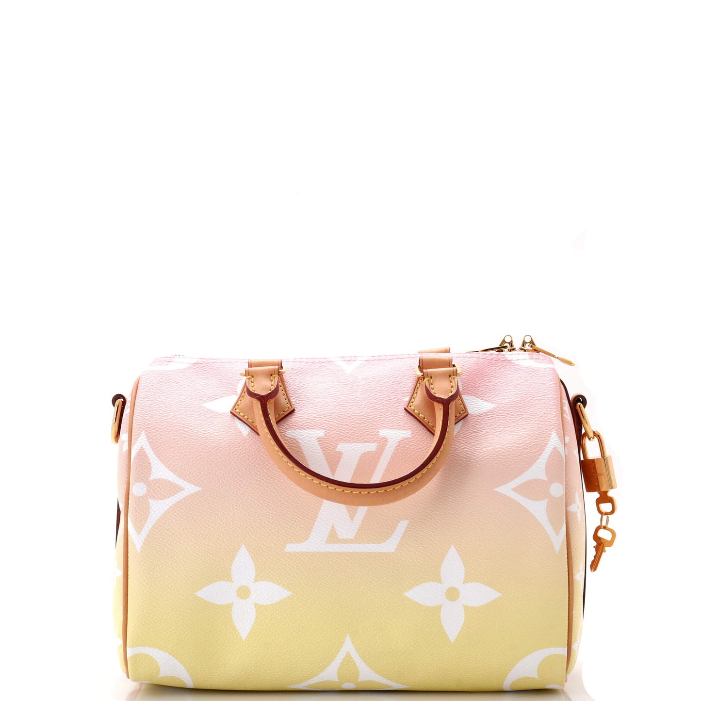 Louis Vuitton Speedy Bandouliere Bag By The Pool Giant Monogram Travel Bag Giant 253039451