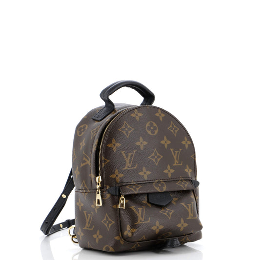 Louis Vuitton Palm Springs Backpack Canvas Monogram Jewelry Canvas Mini3040711