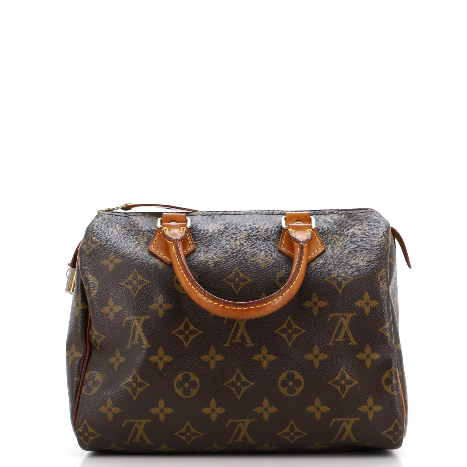 Louis Vuitton Speedy Handbag Canvas Monogram Travel Bag Canvas 253040904