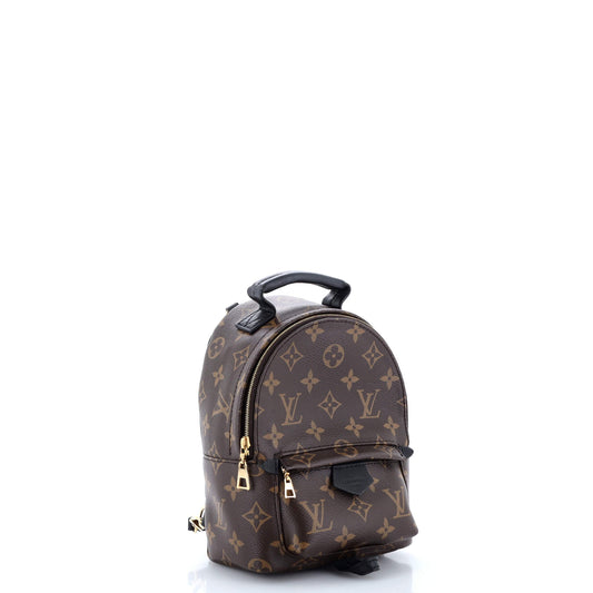 Louis Vuitton Palm Springs Backpack Canvas Monogram Jewelry Canvas Mini3049361