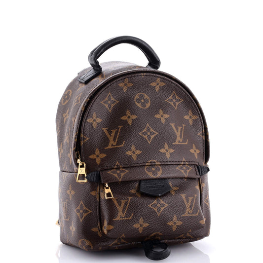 Louis Vuitton Palm Springs Backpack Canvas Monogram Jewelry Canvas Mini3049471