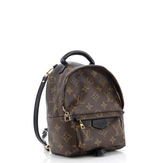 Louis Vuitton Palm Springs Backpack Canvas Monogram Jewelry Canvas Mini30590987