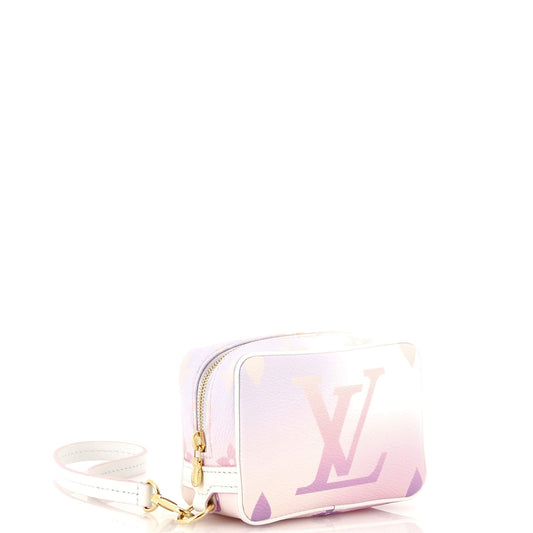 Louis Vuitton Wapity Case Spring In The City Giant Canvas Monogram Jewelry