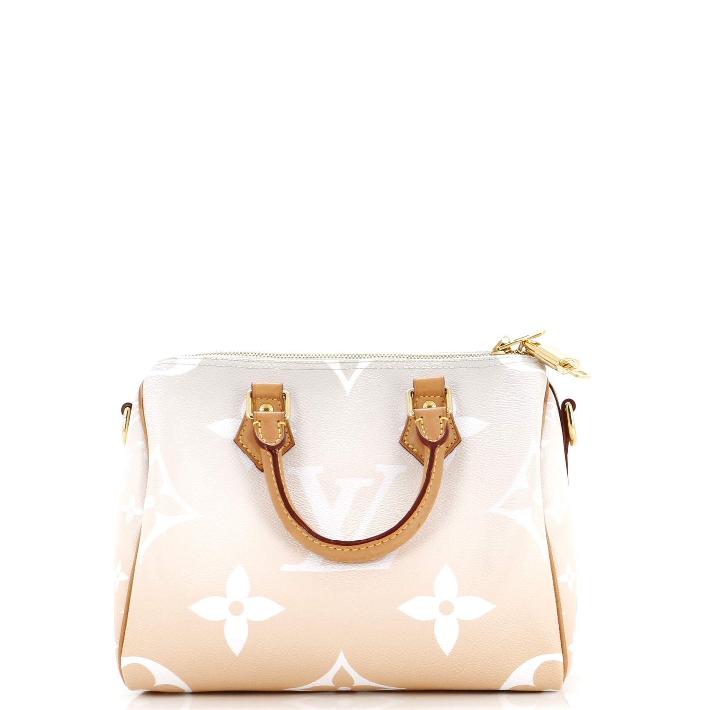 Louis Vuitton Speedy Bandouliere Bag By The Pool Giant Monogram Travel Bag