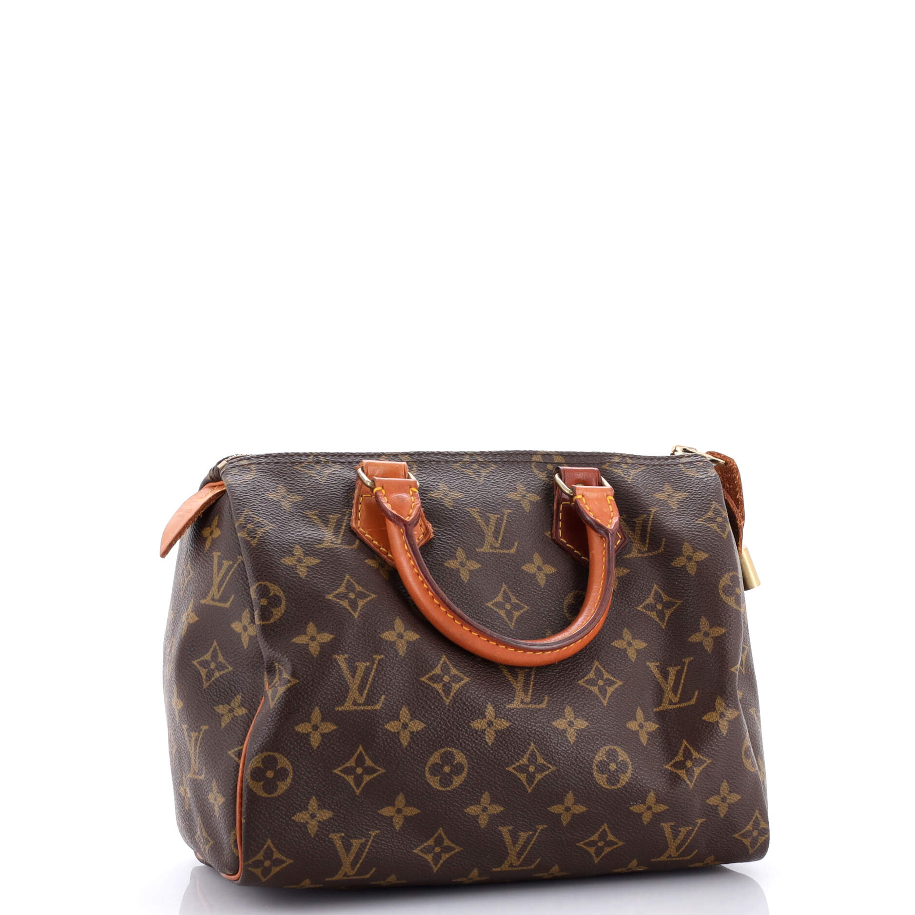 Louis Vuitton Speedy Handbag Canvas Monogram Travel Bag Canvas 253127552