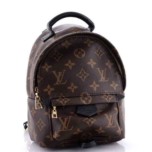 Louis Vuitton Palm Springs Backpack Canvas Monogram Jewelry Canvas Mini3134746