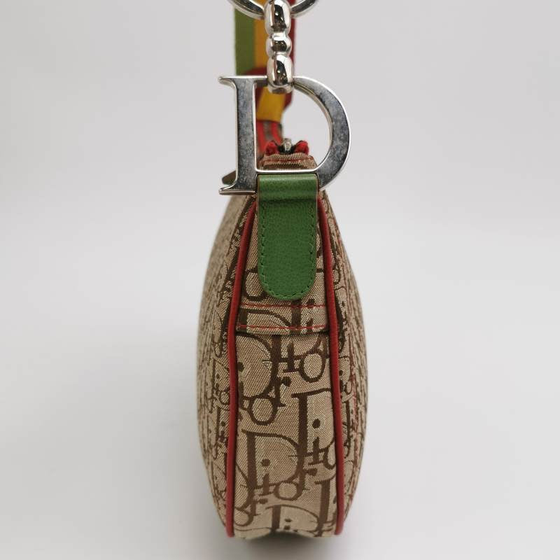 Dior Rasta Trotter Saddle Crossbody Bag Multicolor Strap Canvas