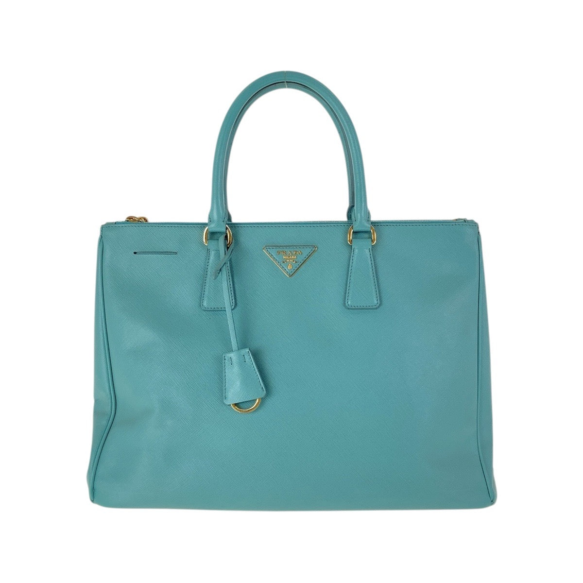 Tote Bag Mint Metal Tote Bag Handbag Leather Green