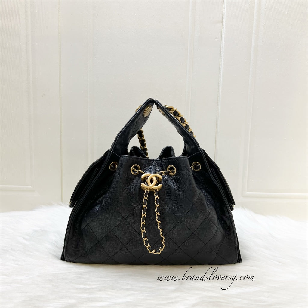 25 Small Hobo Bag in Black Caviar and AGHW (Model: ) Elegant
