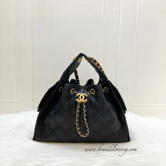 25 Small Hobo Bag in Black Caviar and AGHW (Model: ) Elegant