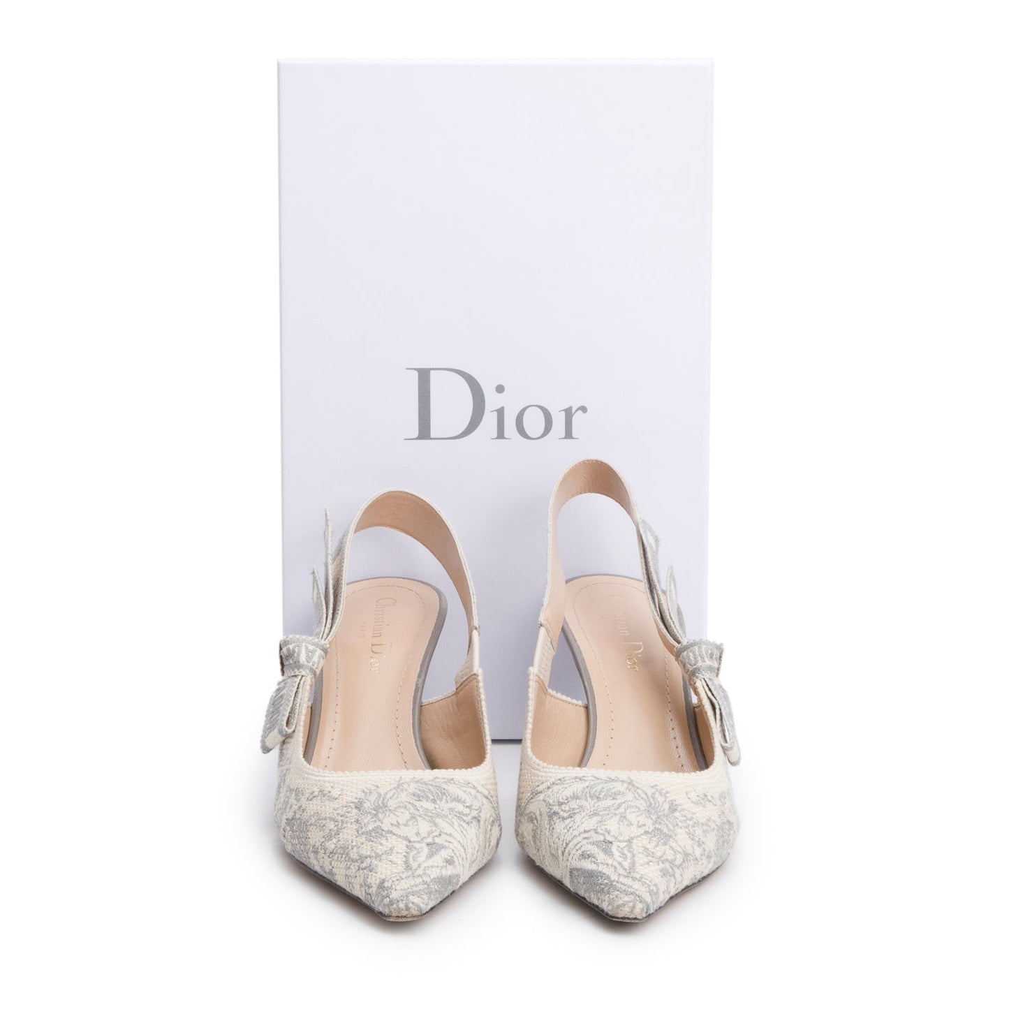 Dior Christian Grey Technical Fabric Toile De Jouy Shoes
