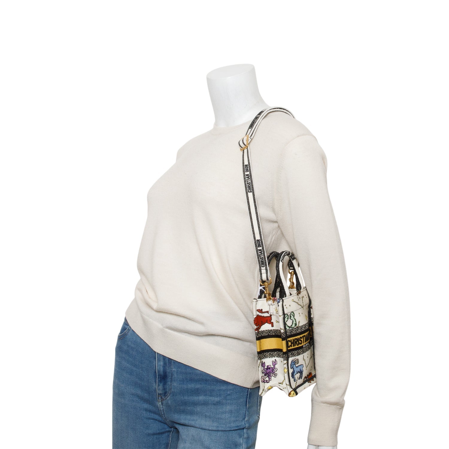 Dior Christian Embroidered Pixel Zodiac Mini Book Tote Canvas Tote Bag