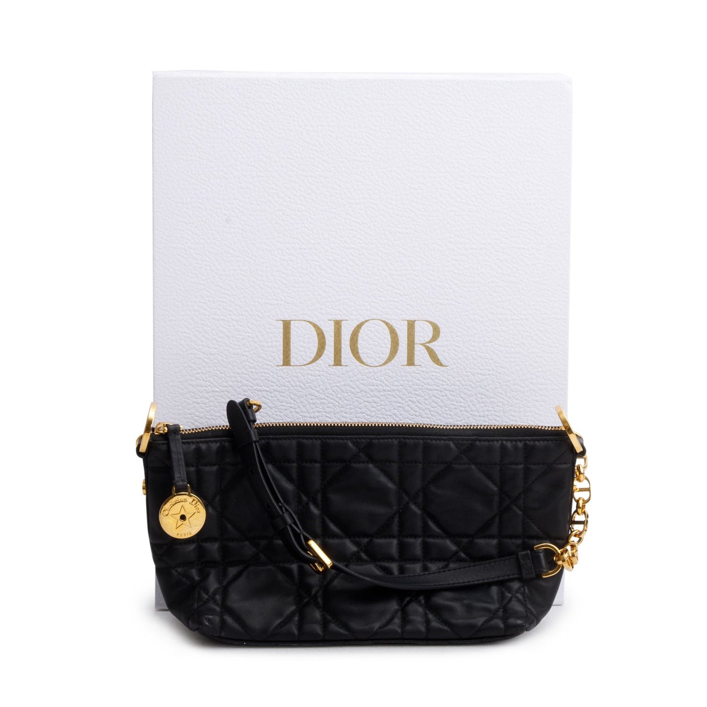Dior Christian Macrocannage Lambskin star Hobo Bag Black Travel Bag