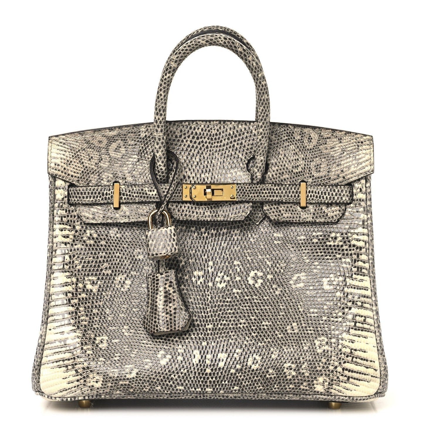 Hermes Lizard Birkin Ombre Handbag Travel Bag