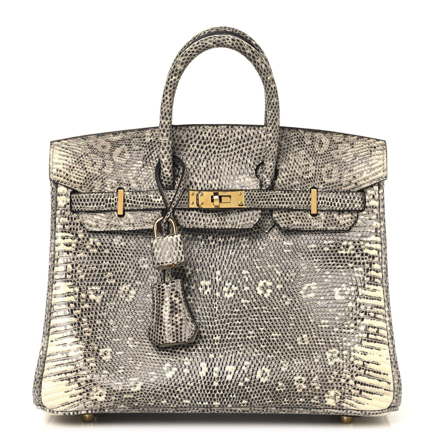 Hermes Lizard Birkin Ombre Handbag Travel Bag