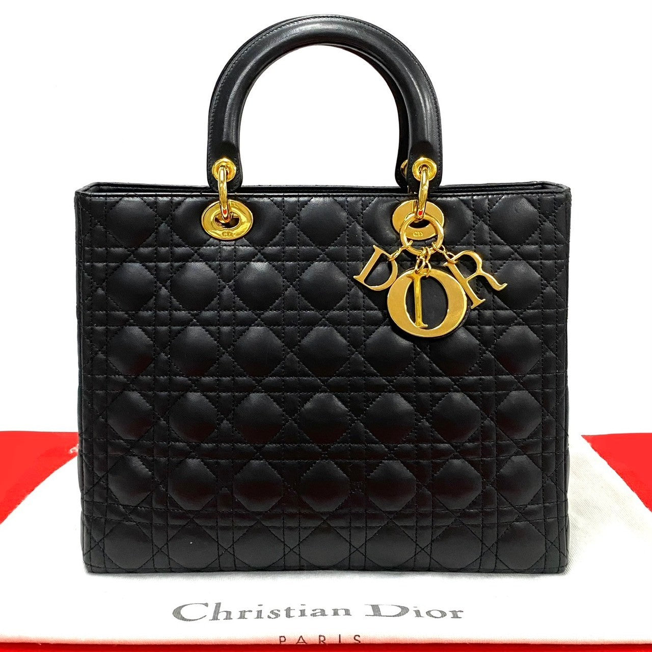 Dior Christian Lady Handbag Leather Travel Bag Dior Leather Handbag