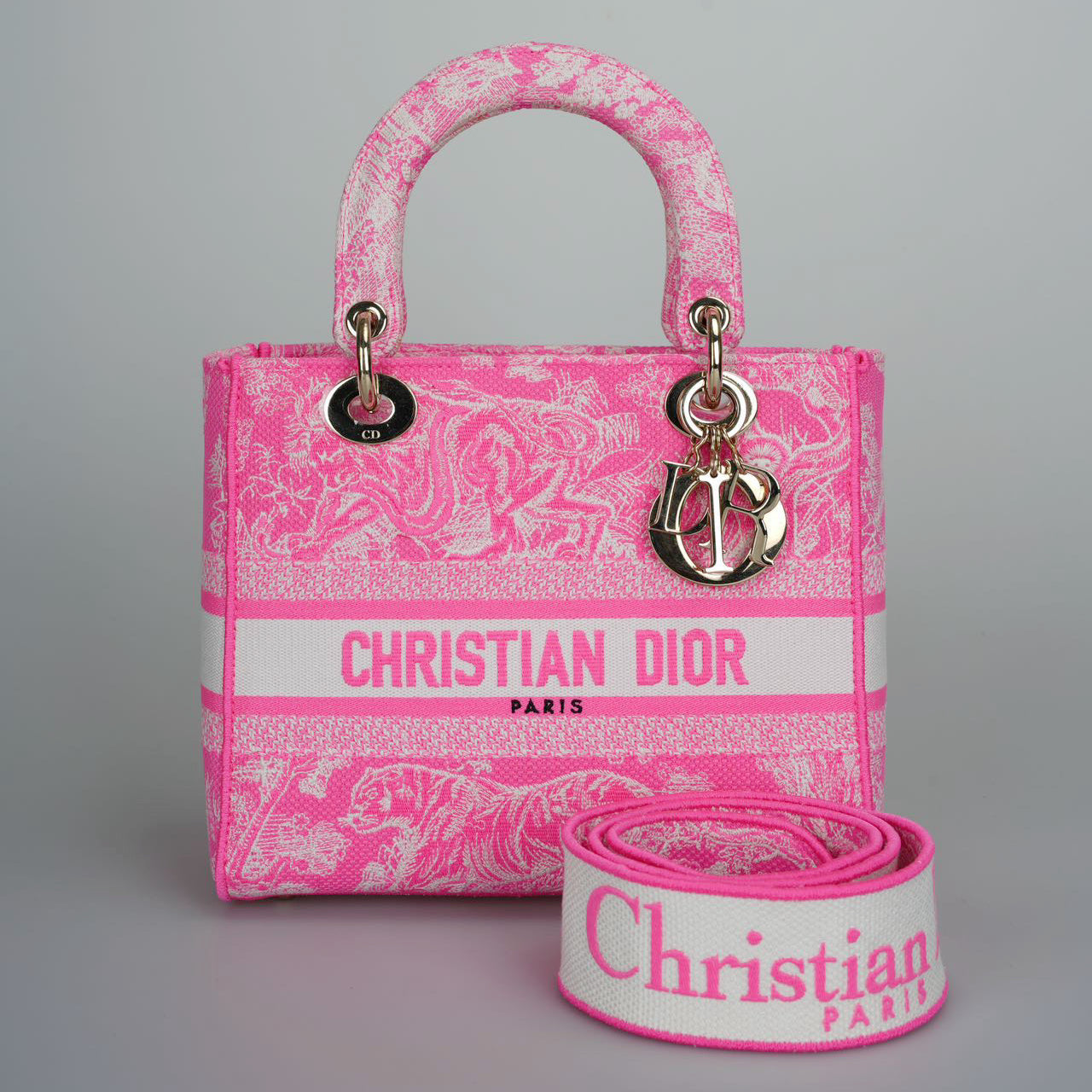 Dior Handbag Christian Toile De Jouy Reverse Lady D-Lite Canvas Medium Embroidered