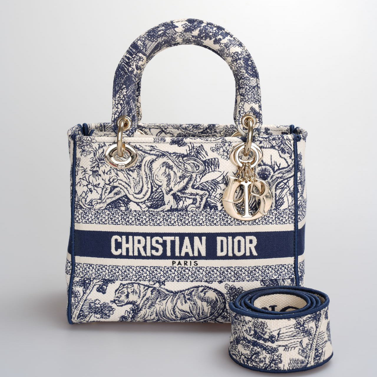 Dior Handbag Christian Lady D-Lite Bag in Canvas Medium