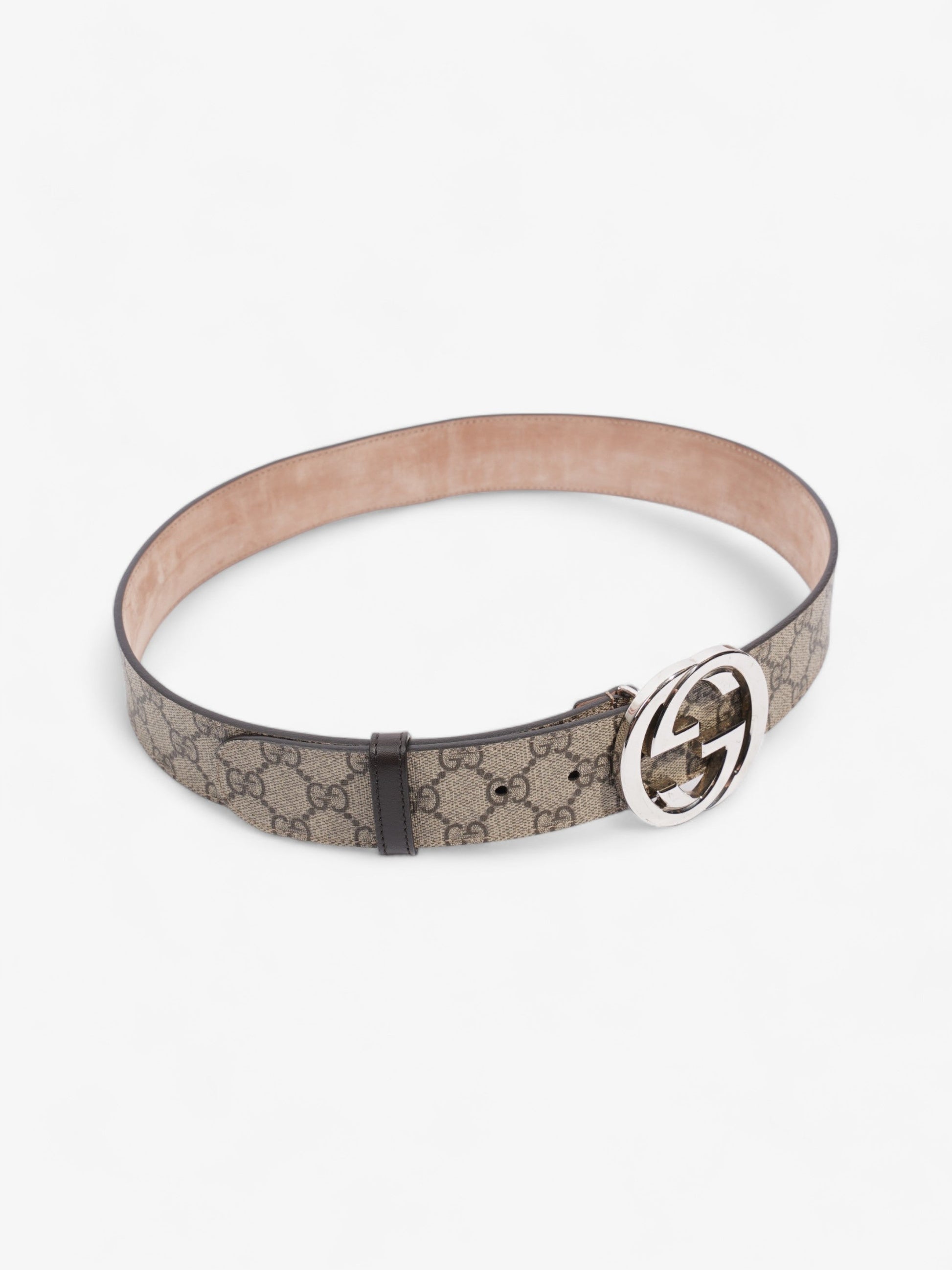Gucci Blondie Belt Ebony Handbag Canvas Beige Accessory