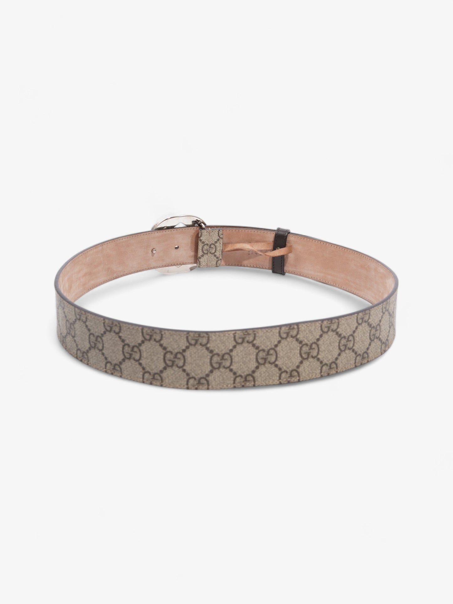 Gucci Blondie Belt Ebony Handbag Canvas Beige Accessory