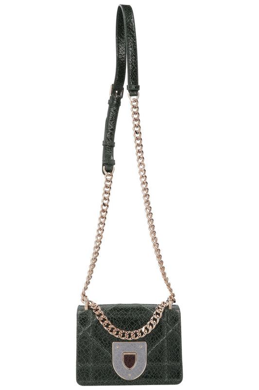Dior Crossbody Bag ama Green