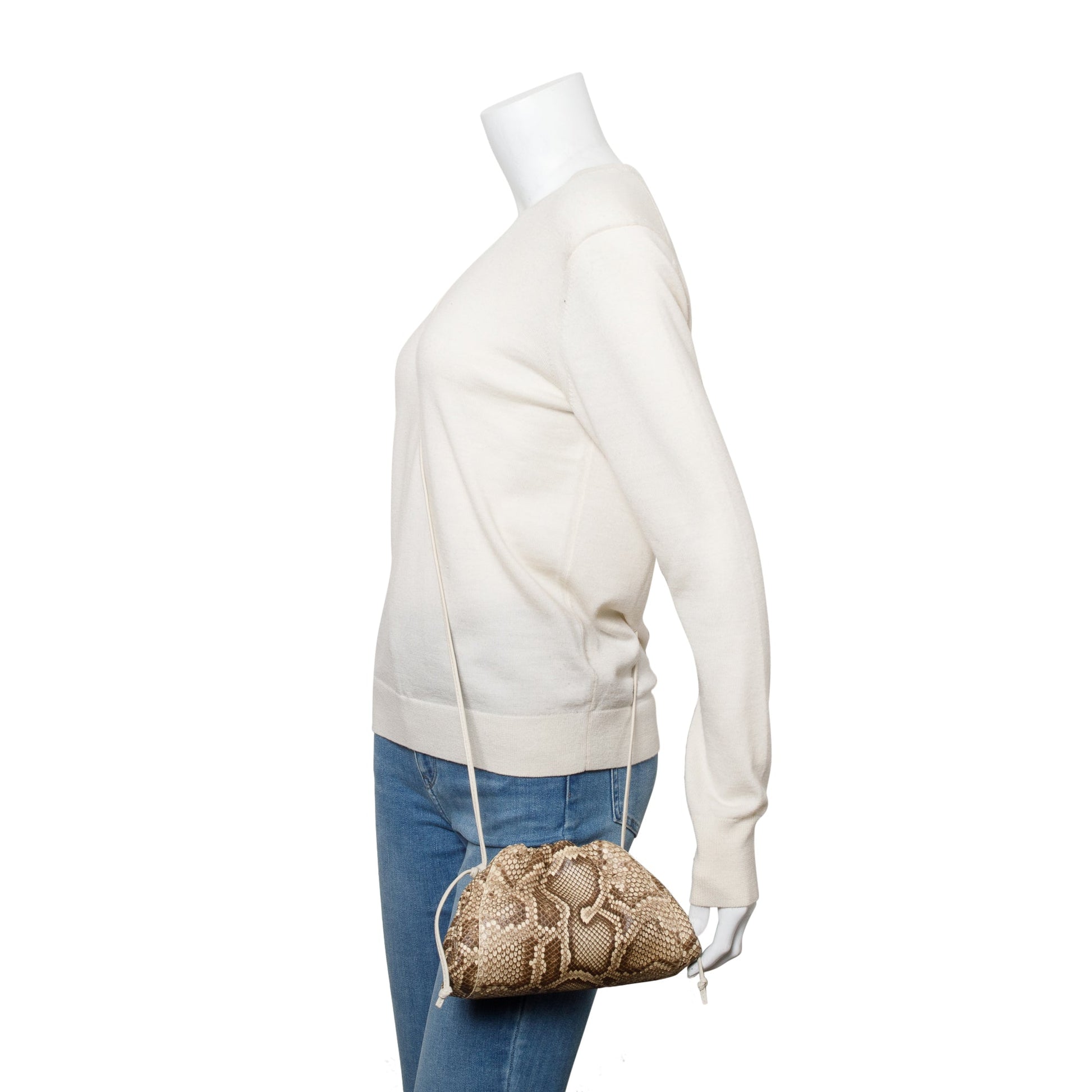 Bottega Veneta Neutral Python The Pouch Travel Bag Mini