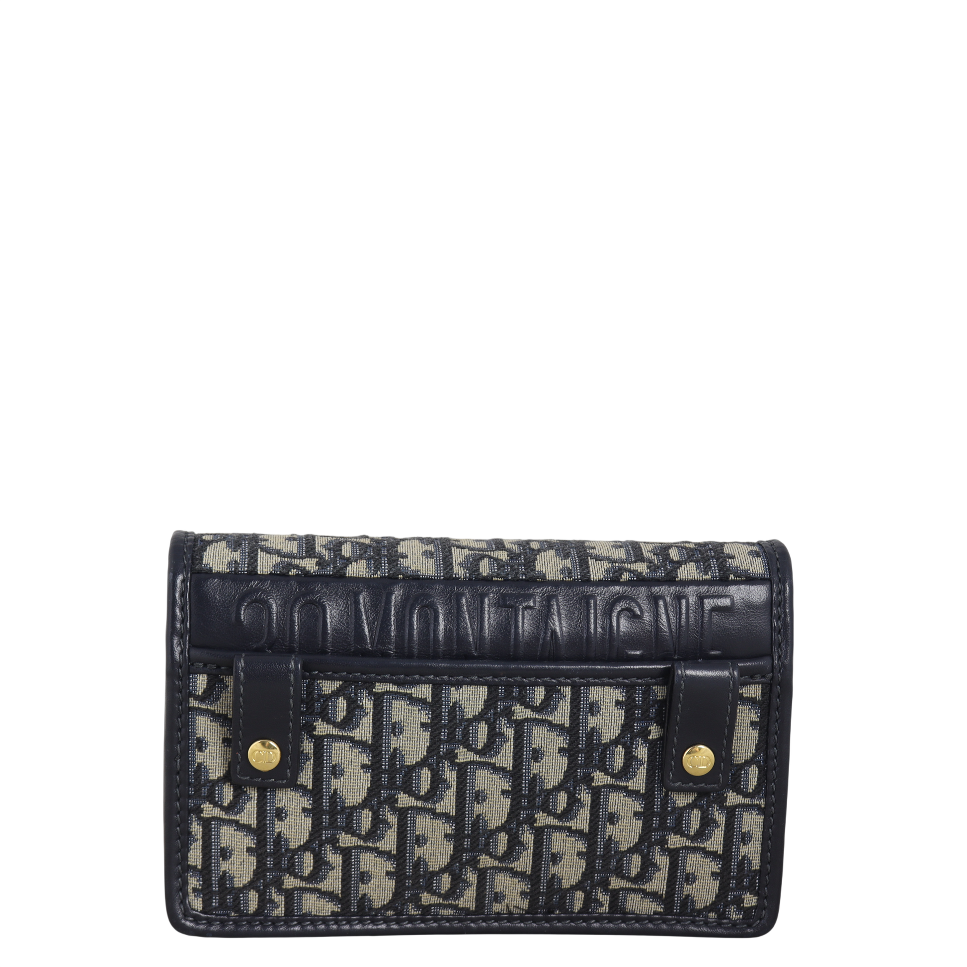 Dior In Montaigne Pouch Oblique Handbag Travel Bag