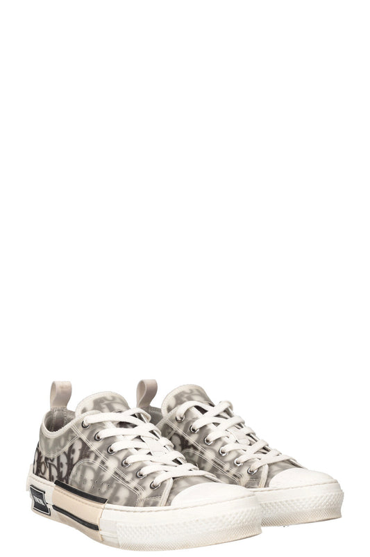 Dior B23 Low Top Sneaker Shoes