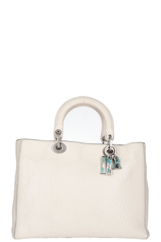 Dior Tote Bag Lady Canyon Bag