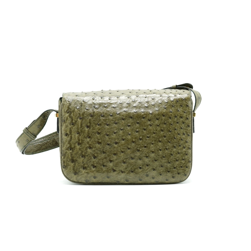 Luxury Ostrich Triomphe Bag Travel Bag