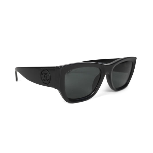 Wayfarer Sunglasses Sunglasses