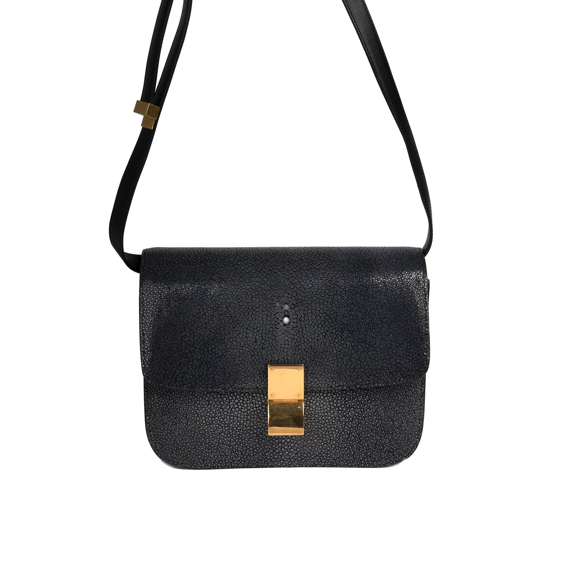 Celine Stingray Classic Box Bag Medium Travel Bag