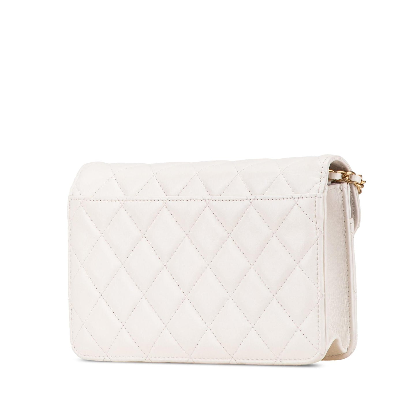 Chanel Calfskin Enchained Flap on Wallet Case Chain 1