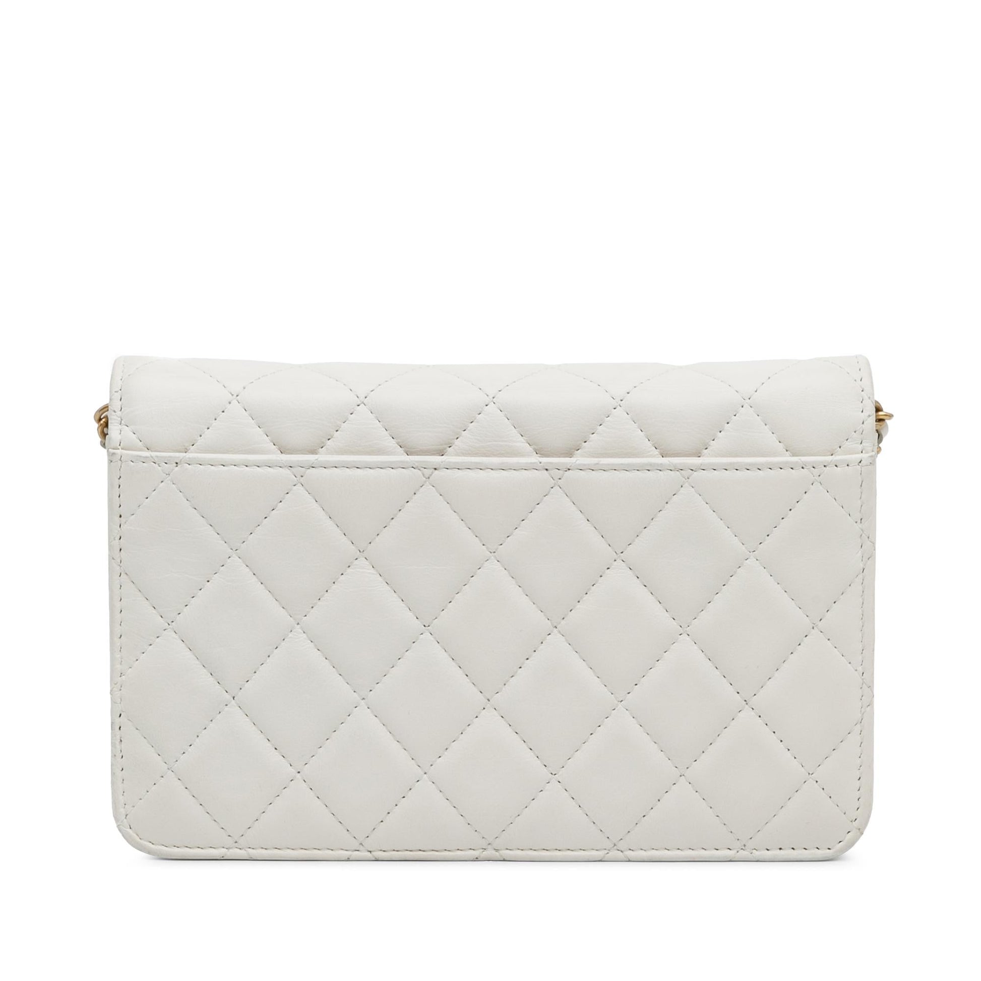 Chanel Enchained Flap on Wallet Case Chain 1