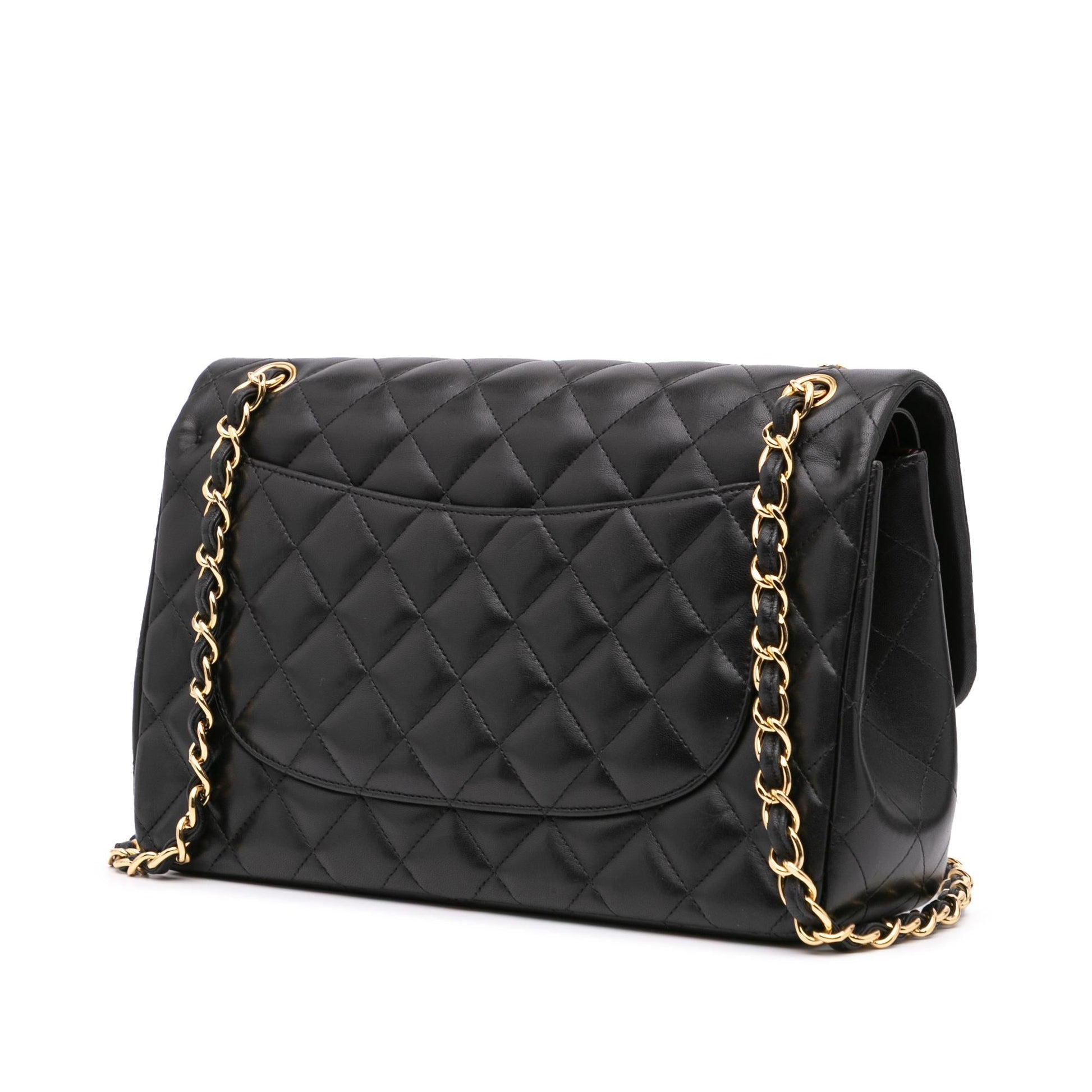 Chanel Jumbo Classic Lambskin Double Flap Handbag Flap 6
