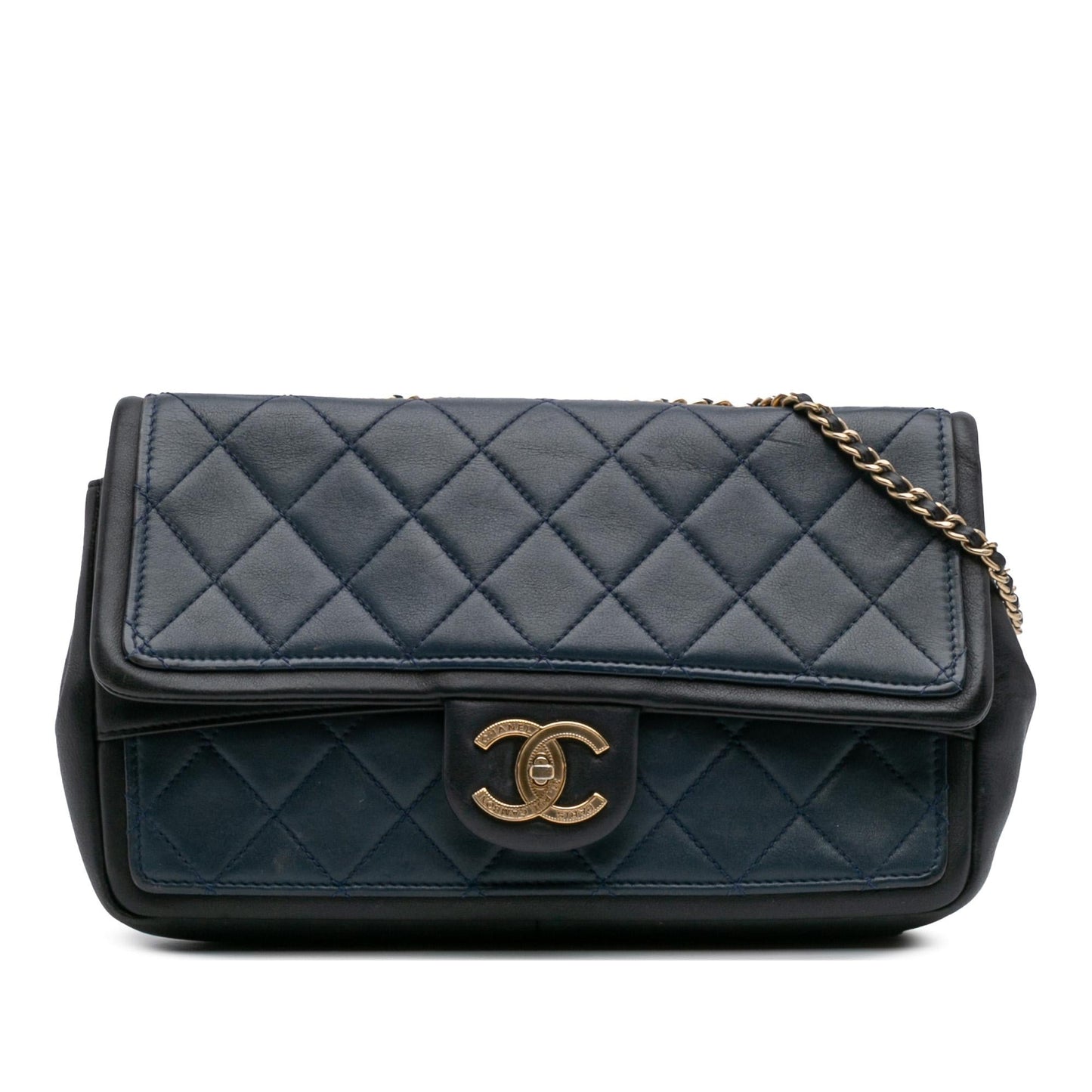 Chanel Bicolor Calfskin Graphic Flap Handbag