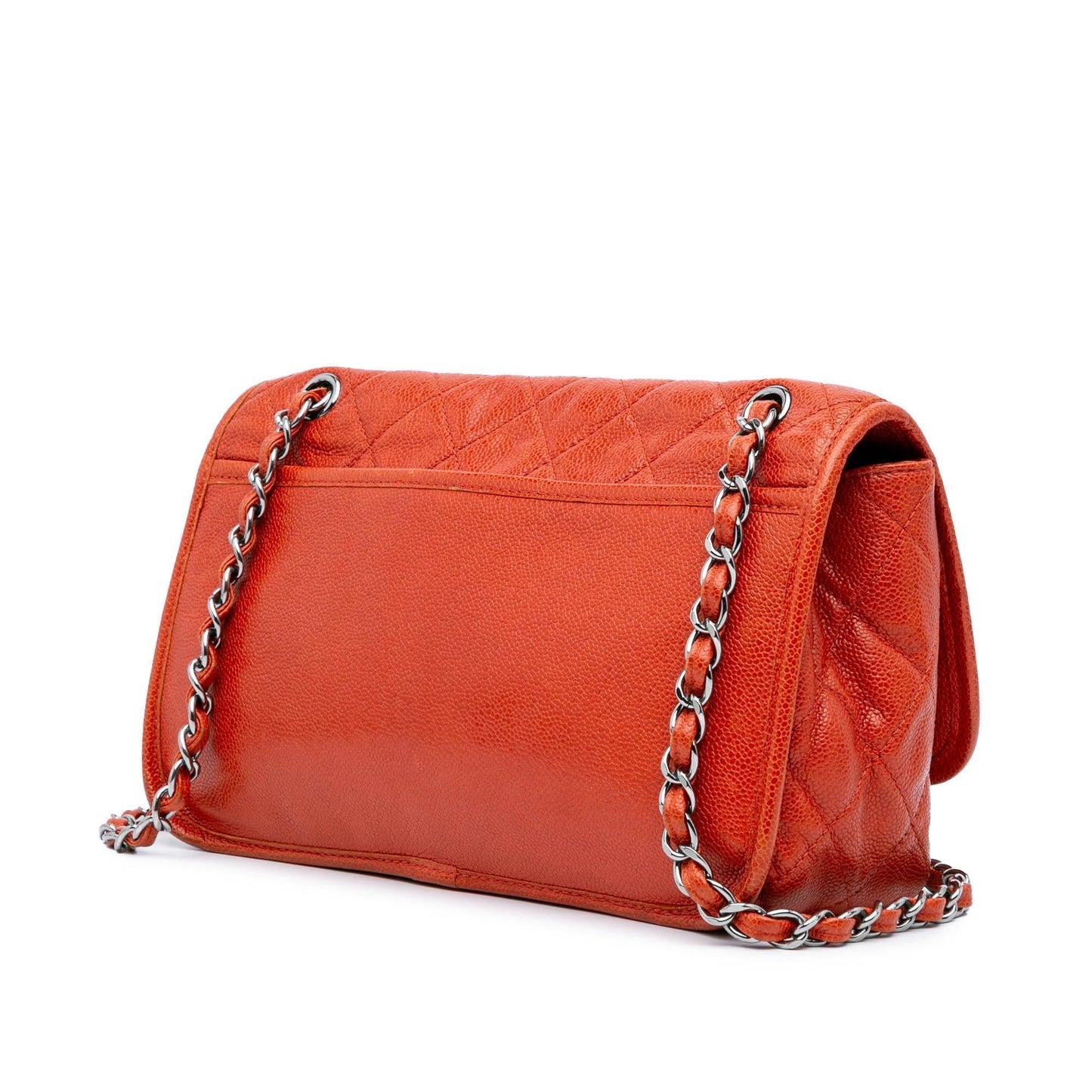 Chanel Grained Calfskin Natural Beauty Flap Handbag