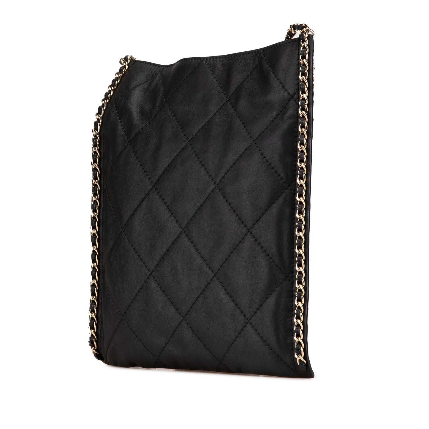 Chanel Quilted Calfskin Flat Shoes Bag 2